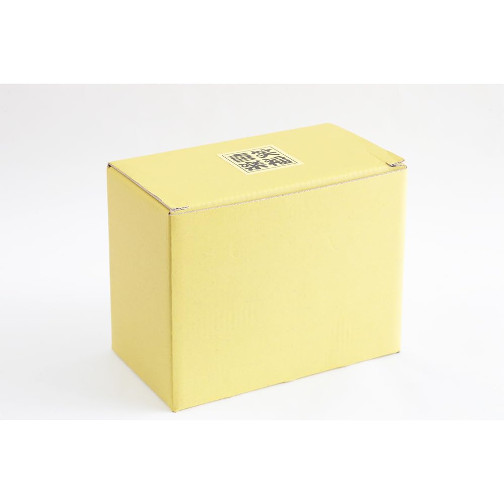 Lucky Cat Piggy Bank, 5.0 inches, Good Luck Charms, Japanese Decor, Ceramics, with Box, SN-026-Z-US